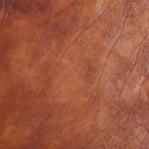 DESIGNER WHOLE HIDES