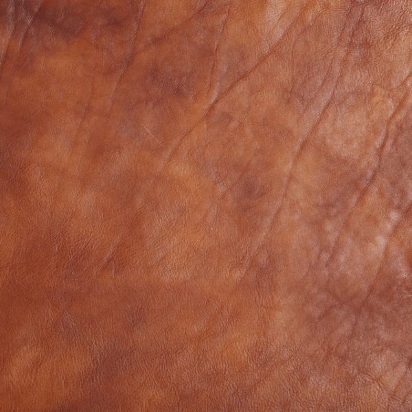 DESIGNER WHOLE HIDES
