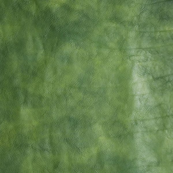 DESIGNER WHOLE HIDES - Image 3